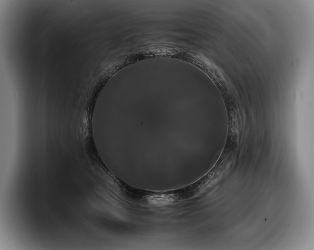 X0000100310465200806051500