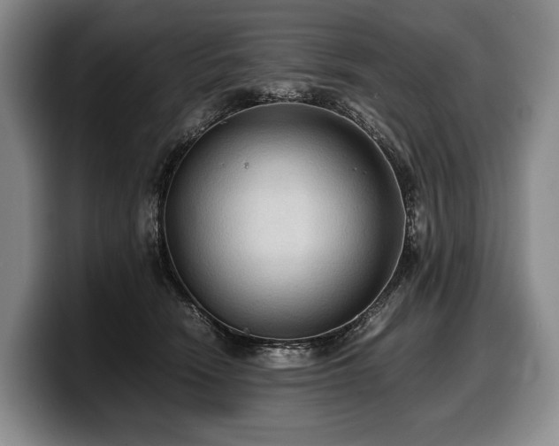 X0000100310466200806051500