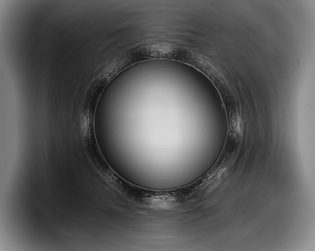 X0000100310468200806051500