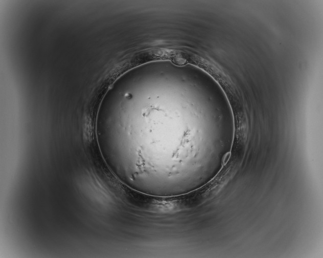 X0000100310469200806051500