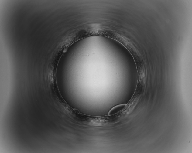 X0000100310470200806051500