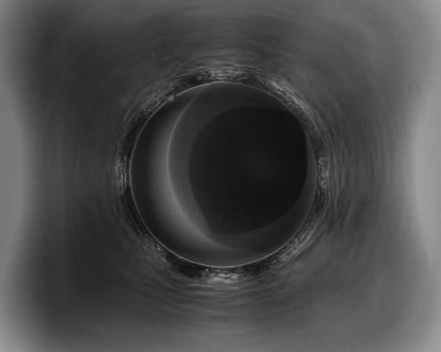 X0000100310471200806051500