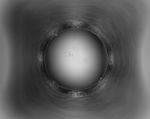 X0000100310472200806051500