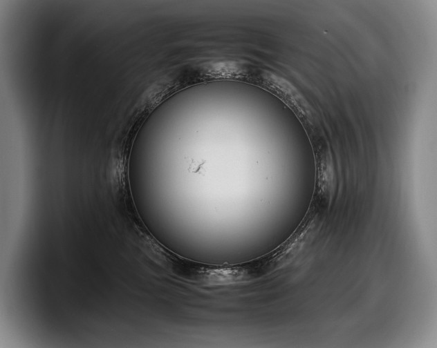 X0000100310473200806051500