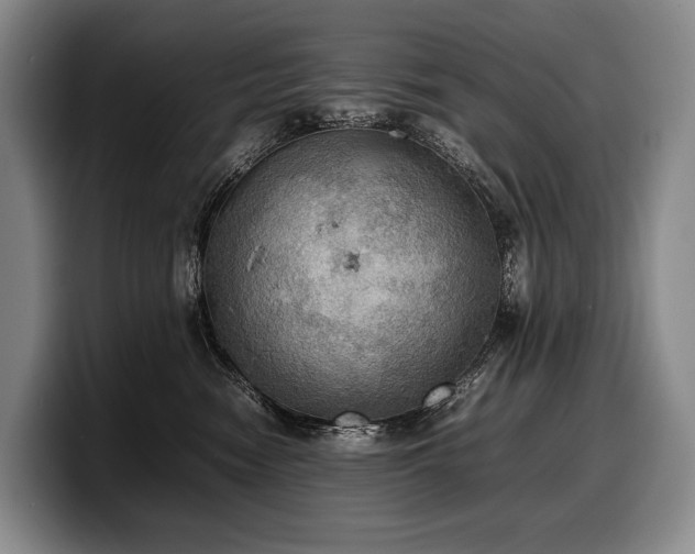 X0000100310474200806051500