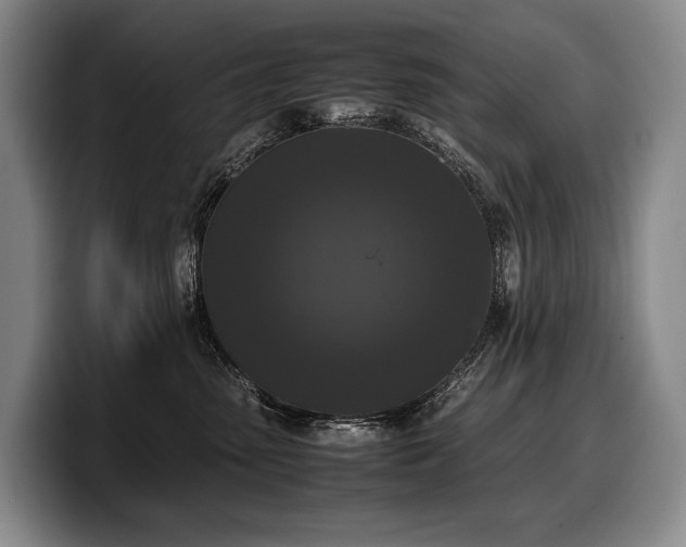 X0000100310475200806051500