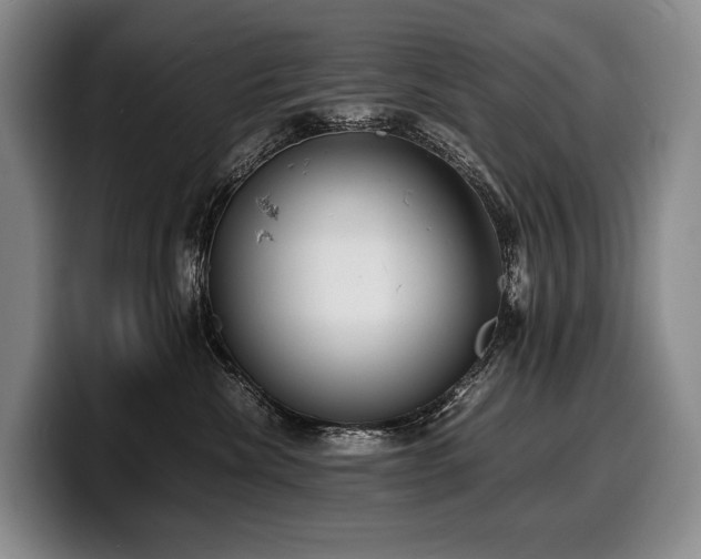 X0000100310476200806051500