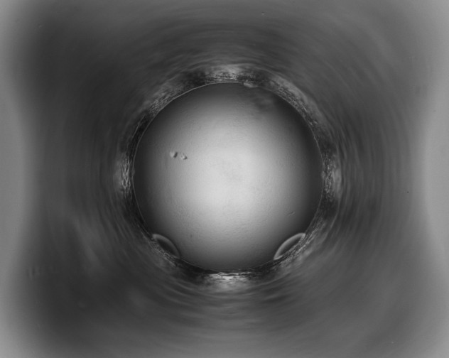 X0000100310477200806051500