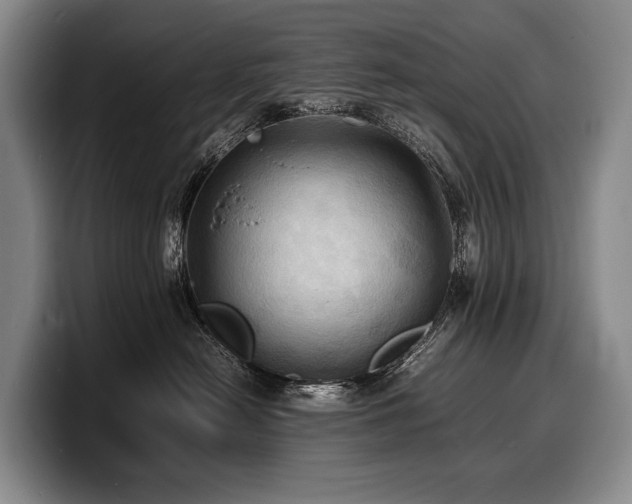 X0000100310478200806051500