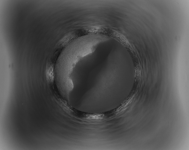 X0000100310479200806051500