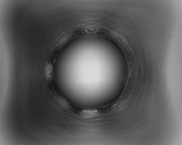 X0000100310480200806051500