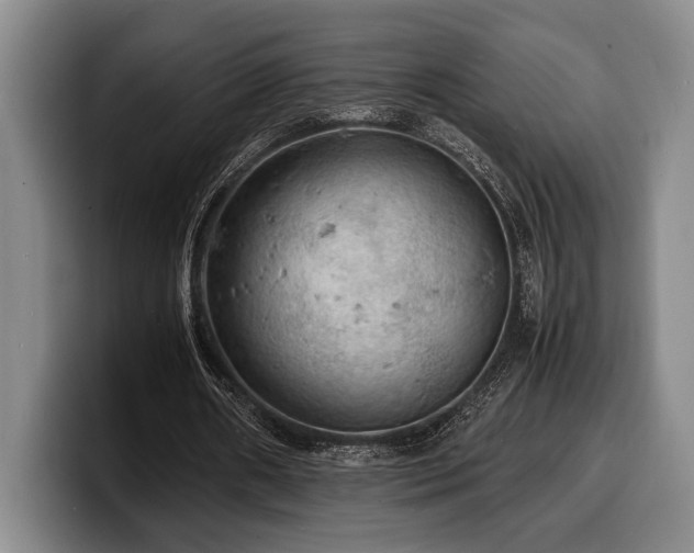X0000100310482200806051459