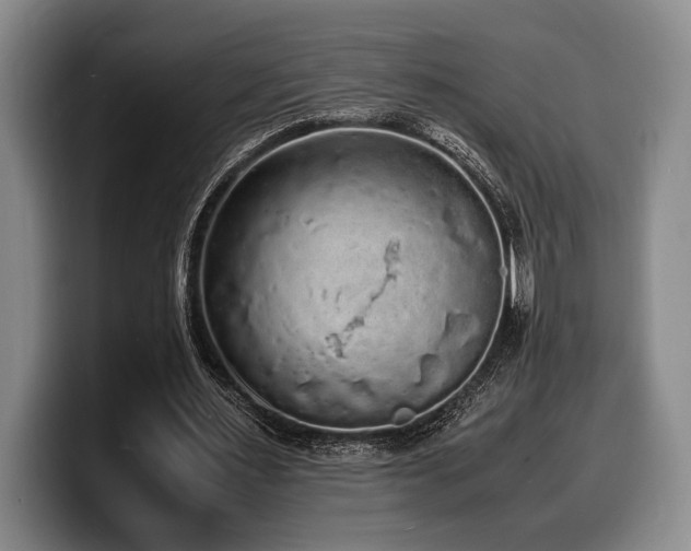X0000100310483200806051459
