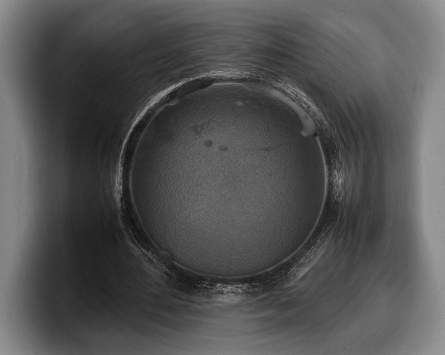 X0000100310484200806051459