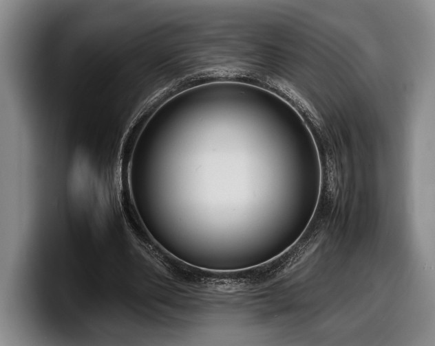 X0000100310486200806051459