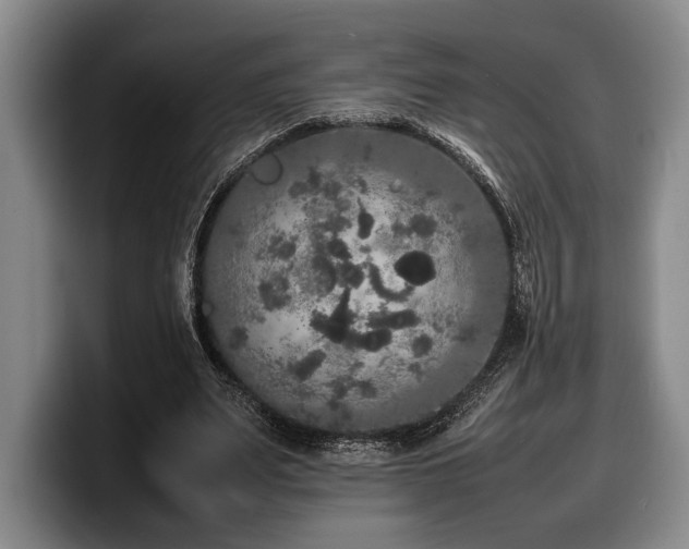 X0000100310487200806051459
