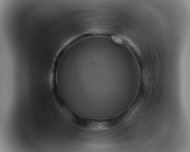 X0000100310488200806051459