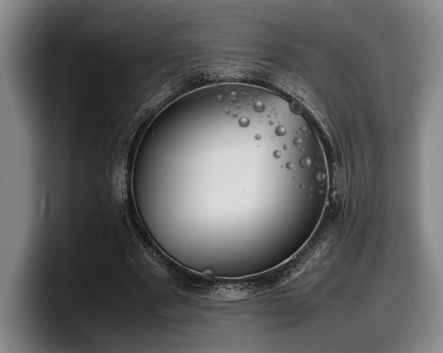 X0000100310489200806051459