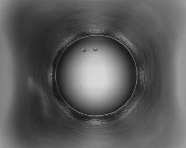 X0000100310490200806051459