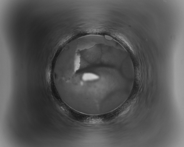 X0000100310491200806051459
