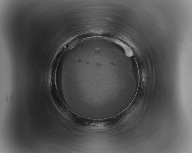 X0000100310492200806051459