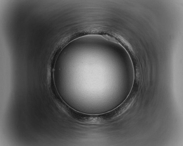 X0000100310493200806051459