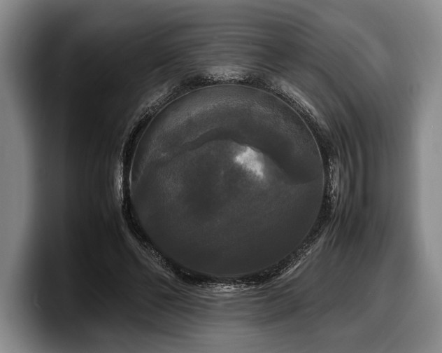 X0000100310494200806051459