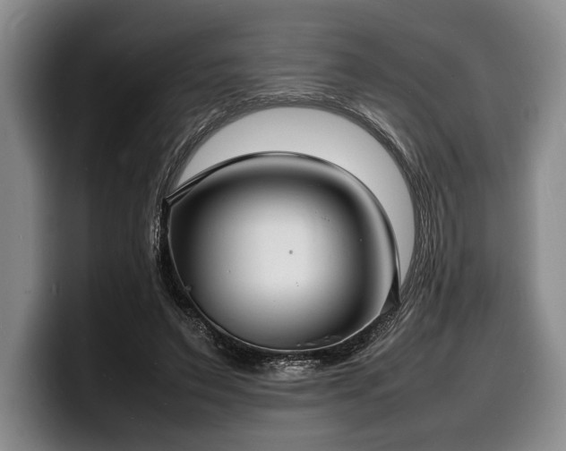 X0000100310495200806051459