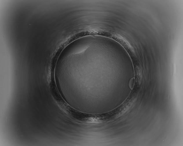 X0000100310496200806051459