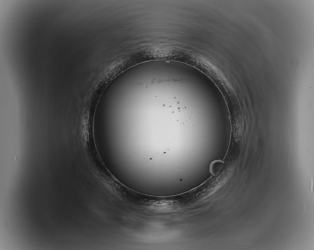 X0000100310497200806051459