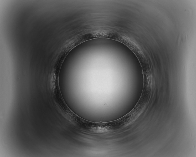 X0000100310498200806051459