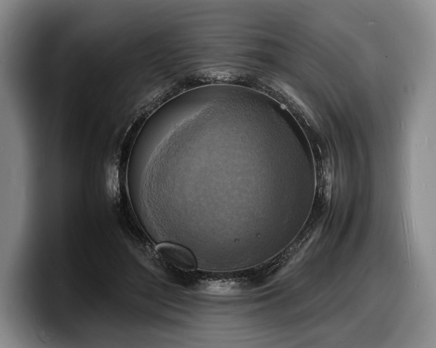 X0000100310500200806051459