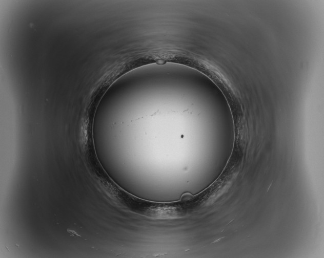X0000100310501200806051459