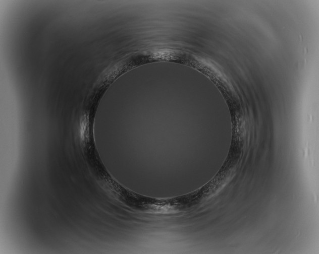 X0000100310502200806051459