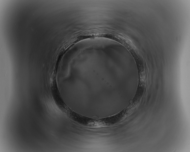 X0000100310503200806051459