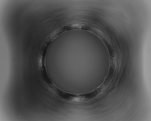 X0000100310504200806051459