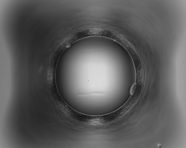 X0000100310505200806051459