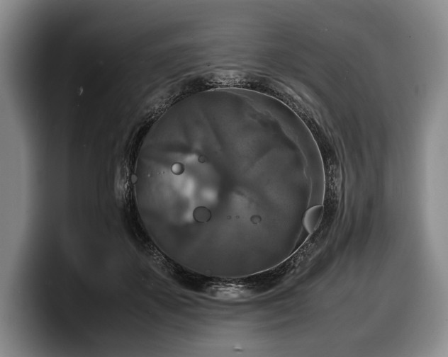 X0000100310507200806051459