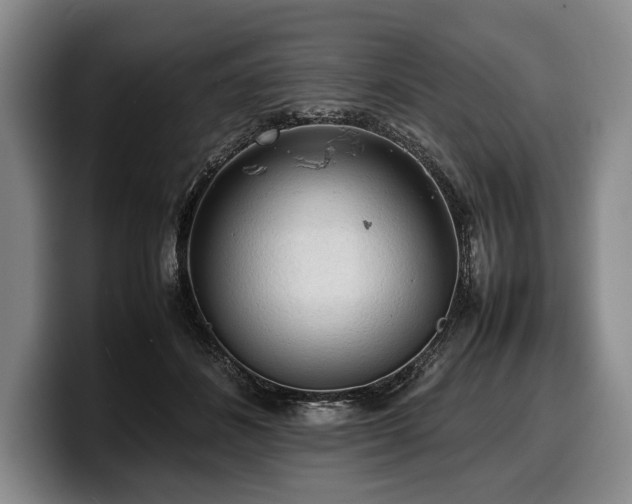 X0000100310508200806051459