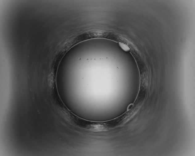 X0000100310509200806051459