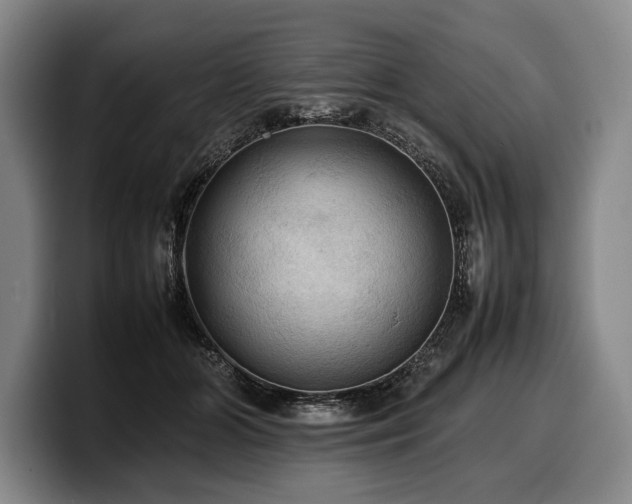 X0000100310510200806051459