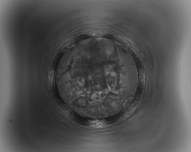X0000100310511200806051459