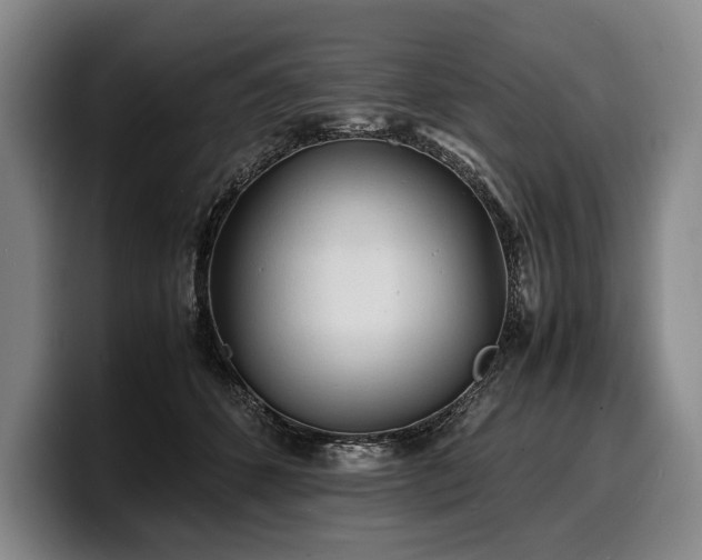 X0000100310512200806051459