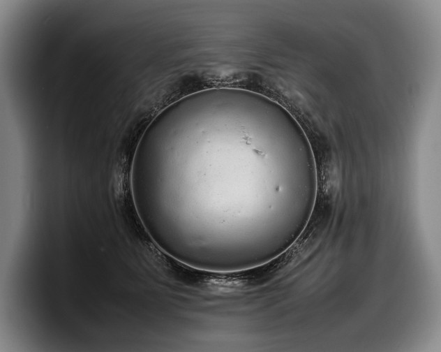 X0000100310515200806051459
