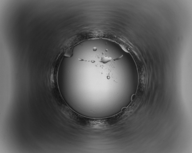 X0000100310516200806051459