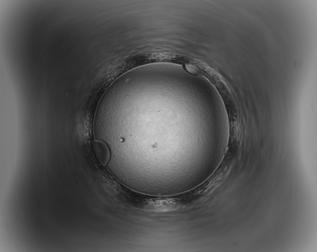 X0000100310517200806051459