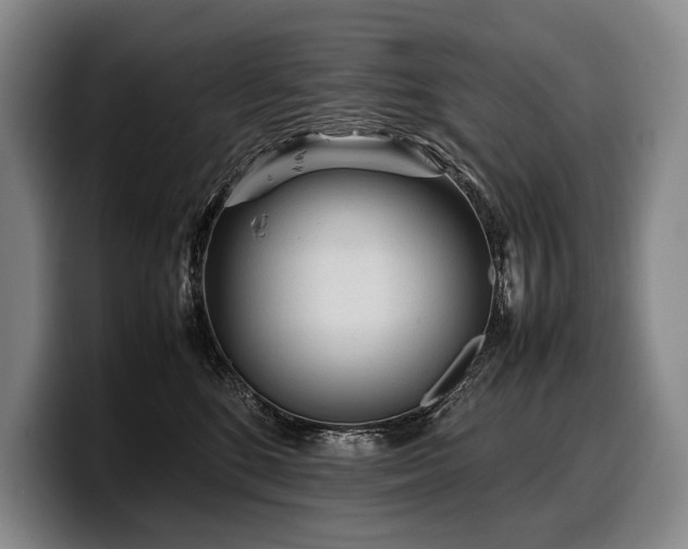 X0000100310520200806051459