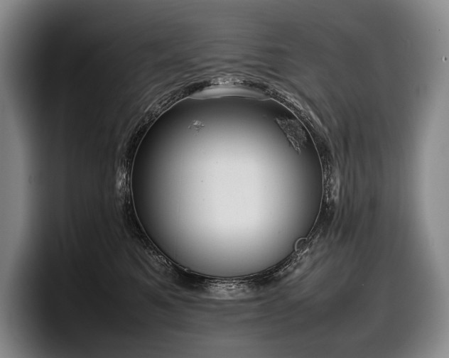 X0000100310521200806051459