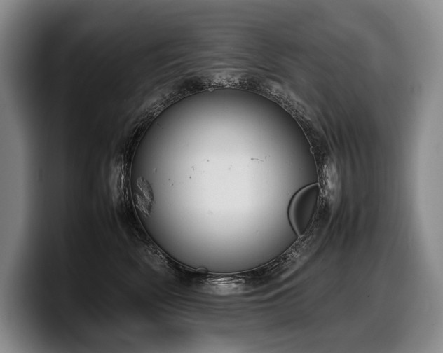 X0000100310522200806051459