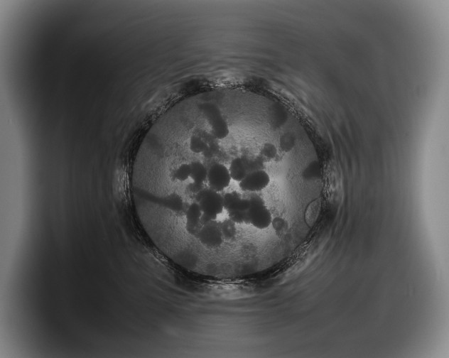 X0000100310523200806051459